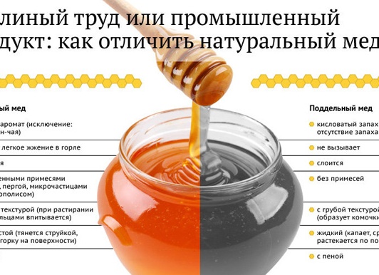 Как отличить настоящий мёд от подделки