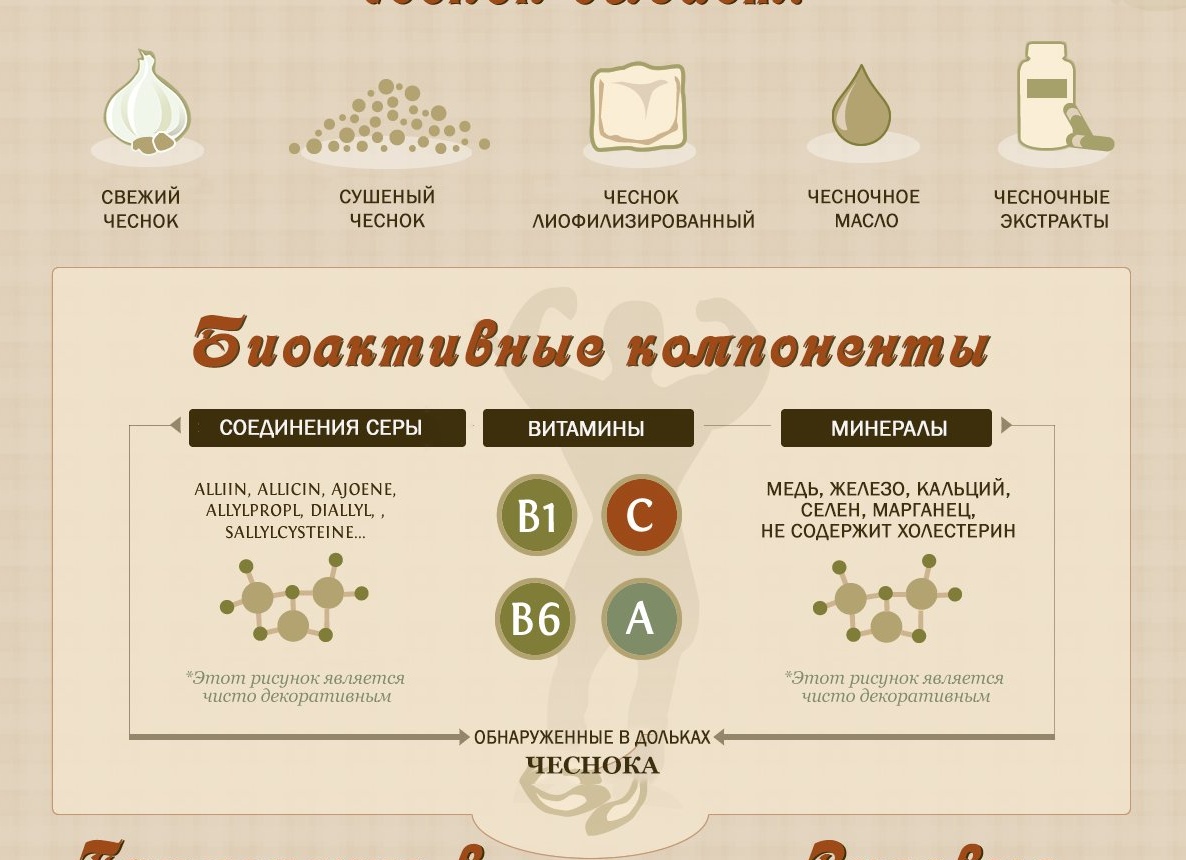 ИНФОГРАФИКА: Чеснок — удивительное природное лекарство для вашего организма